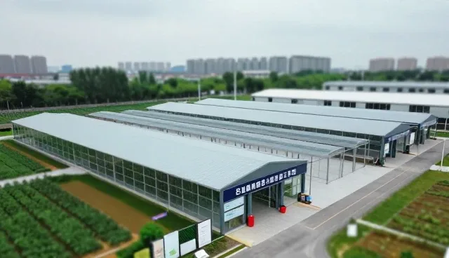 医疗技术推广中常见误区与正确理解